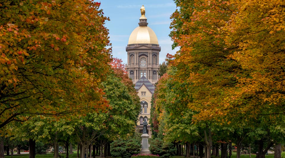 Main building framed by trees in autumn