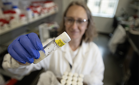 Researcher holds a laboratory vial toward the camera while working in a bioengineering lab.